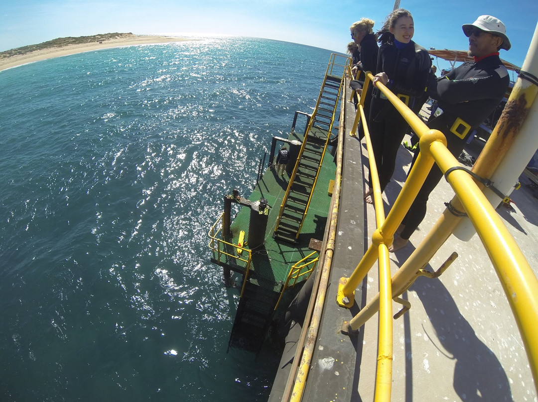 Navy Pier Exmouth-埃克斯茅斯必去景点