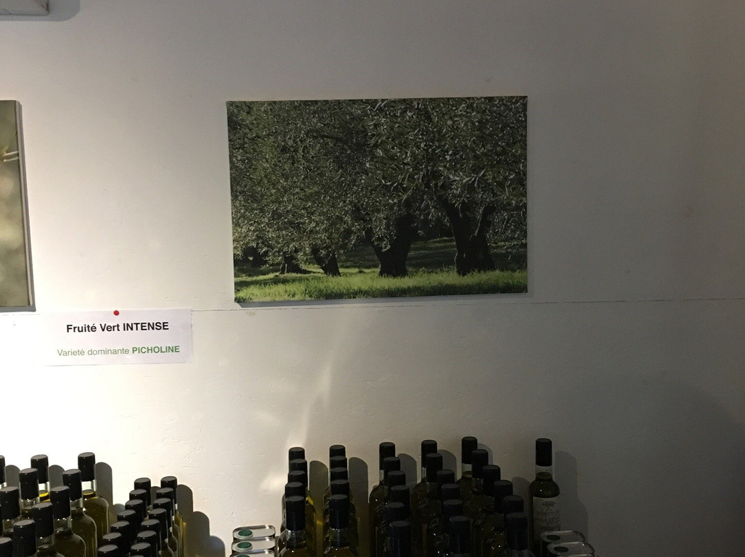 Domaine Stalenq Huile D'Olive景点图片
