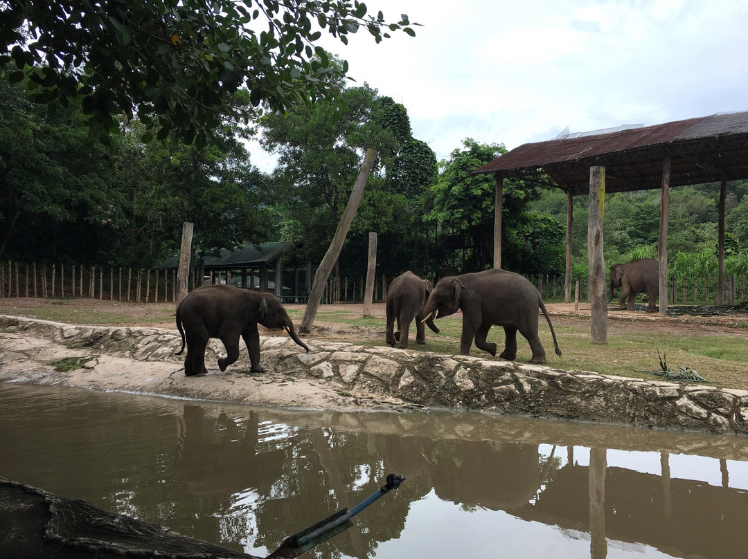 Tagal Tinopikon Park-兵南邦必去景点