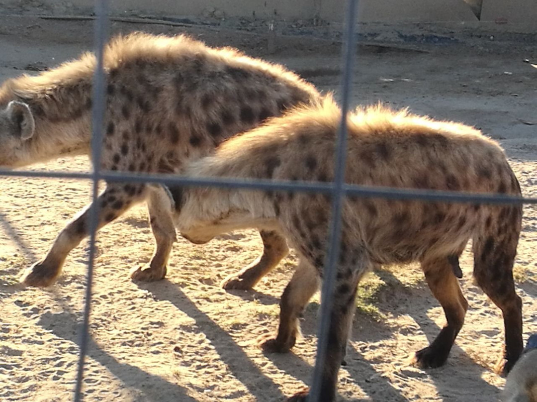 Caesar's Bush Palace-瓦尔沃特必去景点