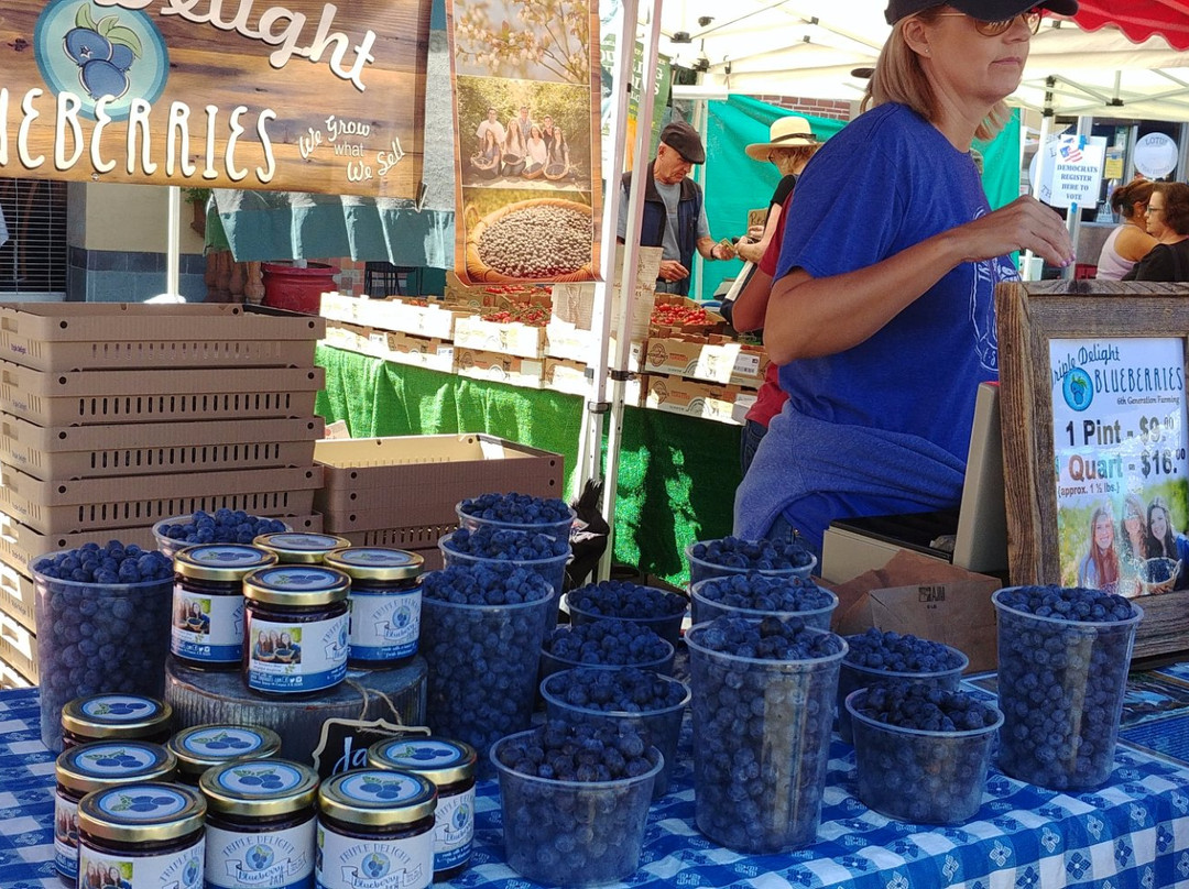 California Avenue Farmer's Market-帕罗奥多必去景点