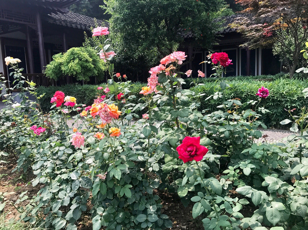 救生会-镇江市必去景点