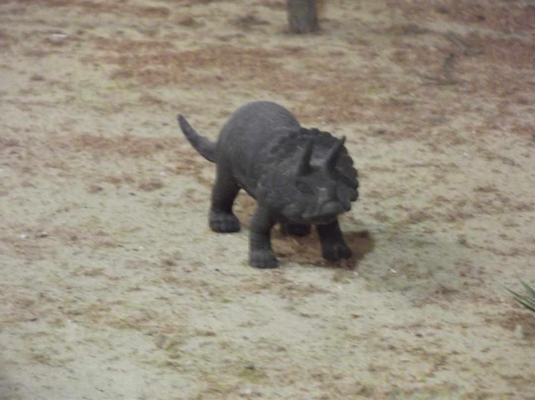 Univates University Museum of Natural Science-Lajeado必去景点