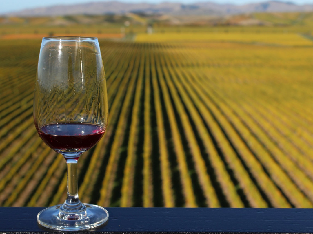 Marlborough Wine Tours-布伦海姆必去景点