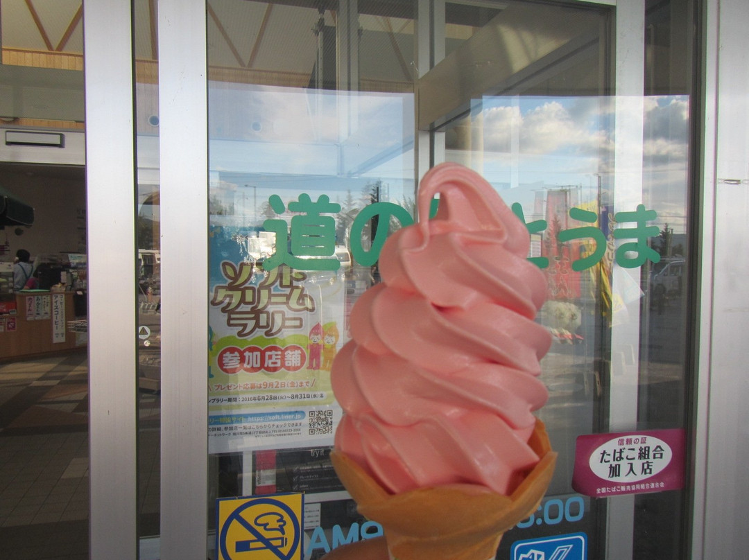 Michi-no-Eki Toma-当麻町 必去景点