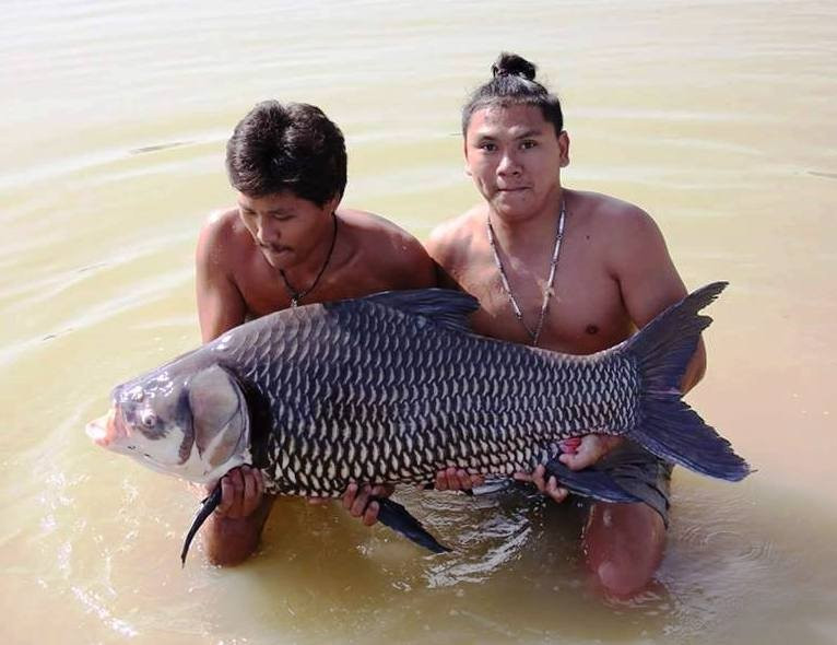 Nong Bua Lam Phu Fishing Park景点图片