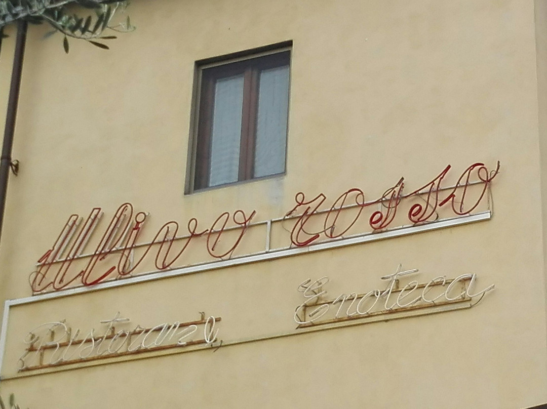 Ulivo Rosso