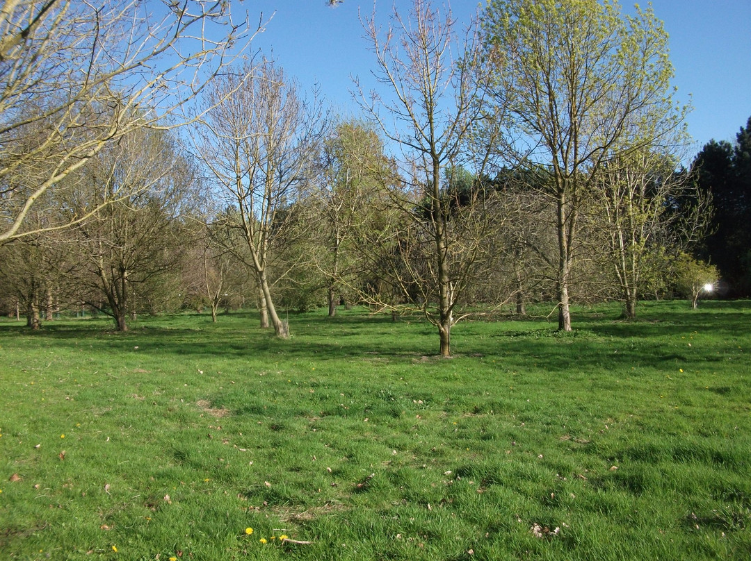 Lovell Quinta Arboretum景点图片