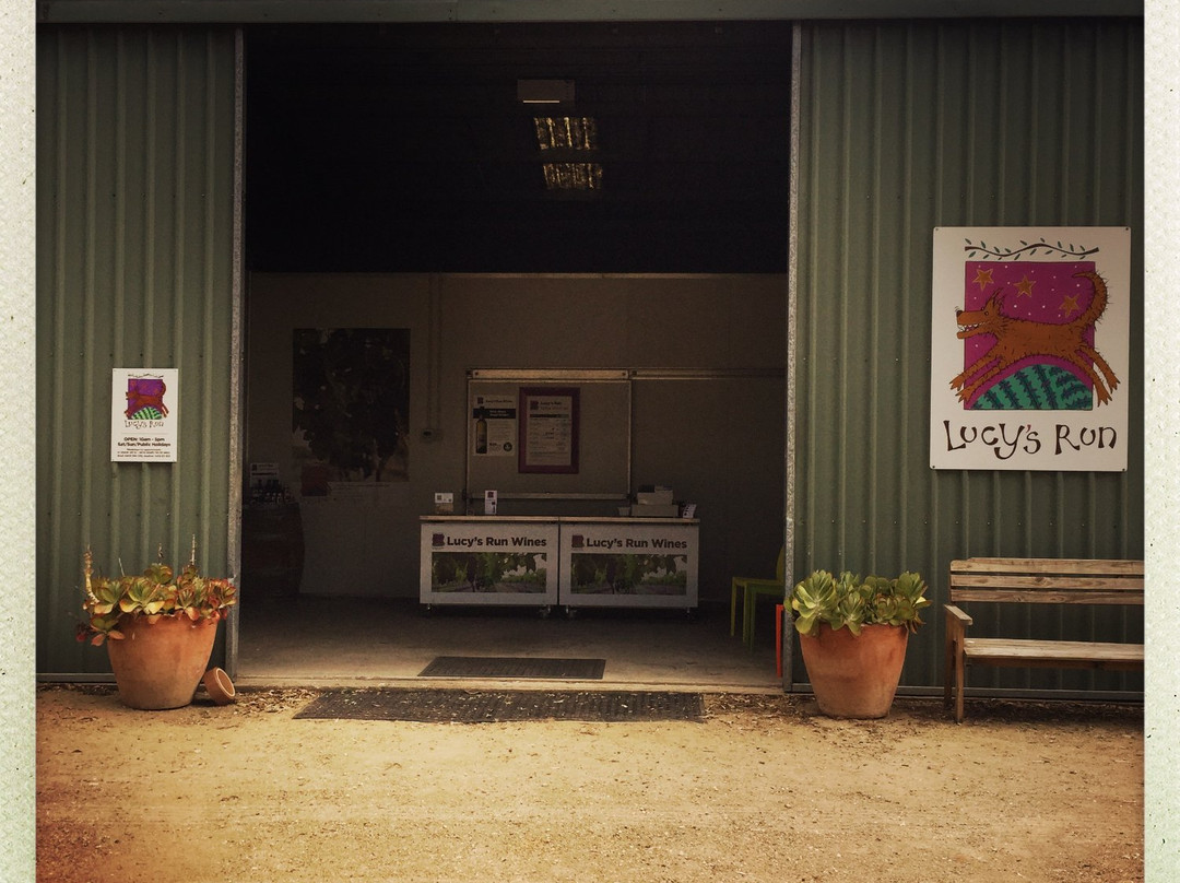Lucy's Run Wines-Lovedale必去景点