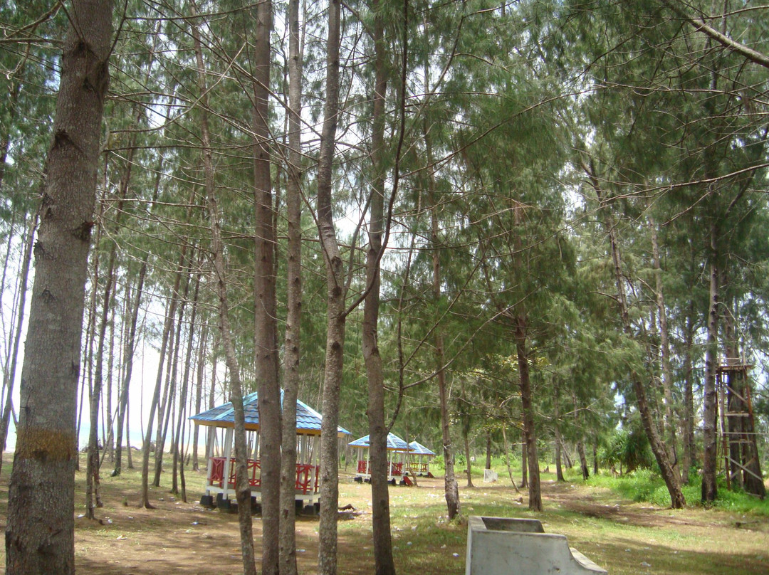 Gumumai Beach景点图片