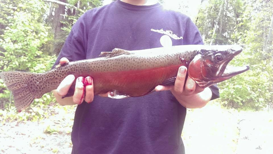 Heather-Dina Lakes Provincial Park-Mackenzie必去景点