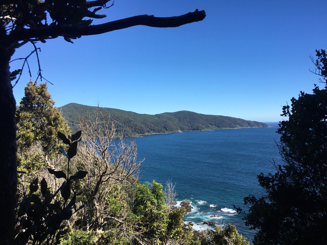 Quenuir餐馆和美食-Raices