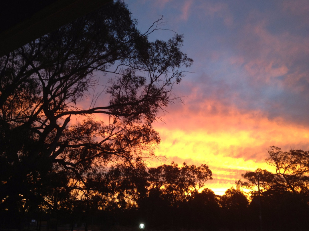 The Cooee Motel Gilgandra主图