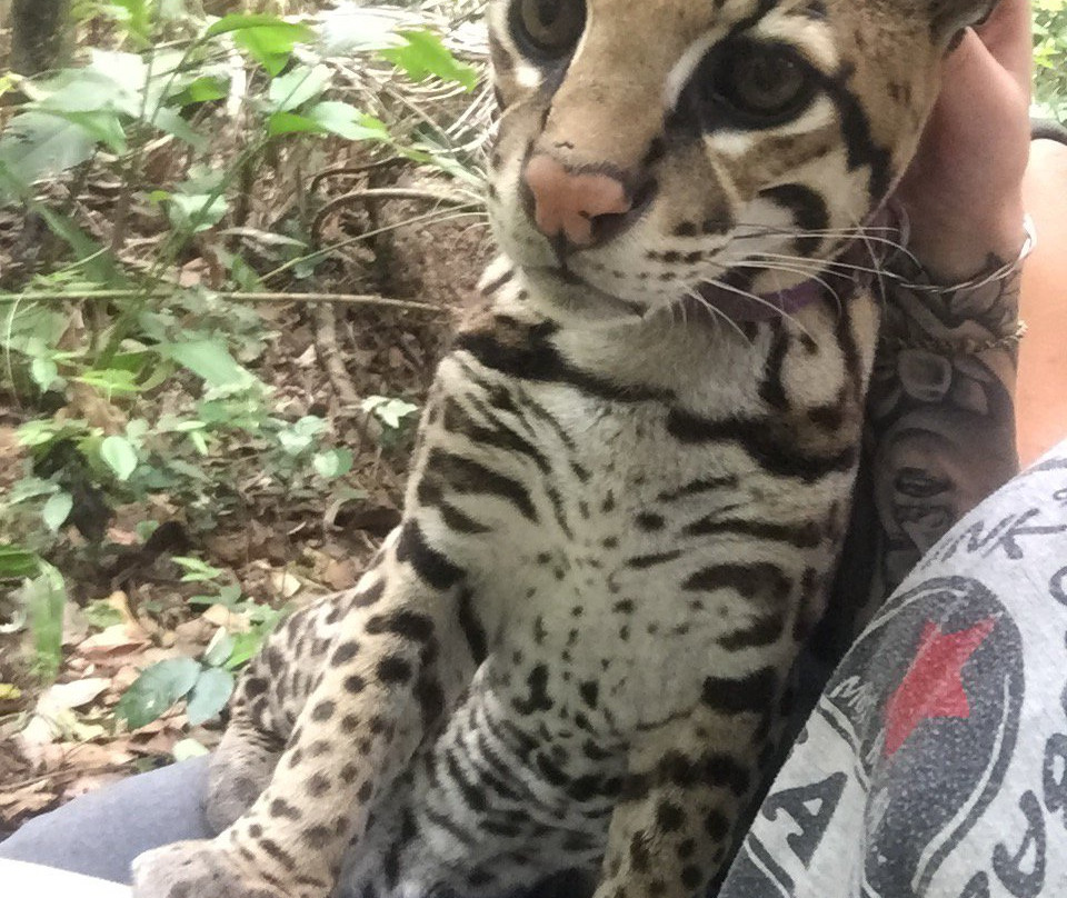 Comunidad Inti Wara Yassi (CIWY)-科恰班巴必去景点