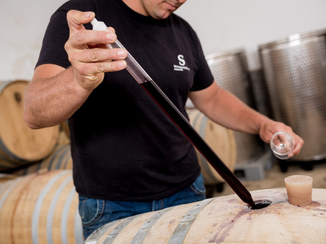 Winery Schwarz-Freienstein-Teufen必去景点
