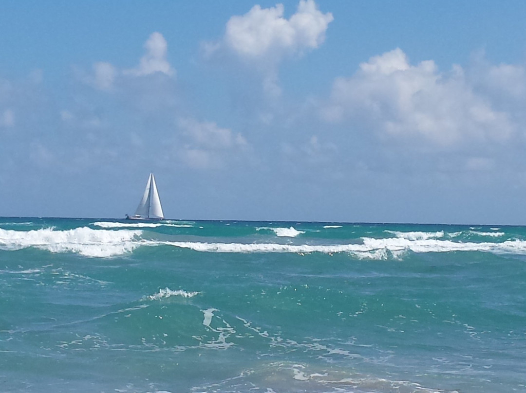 Mid-Town Municipal Beach景点图片
