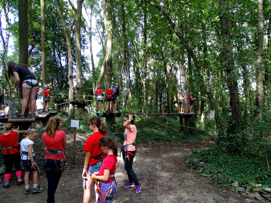 Ecopark Adventures-图尔奈必去景点