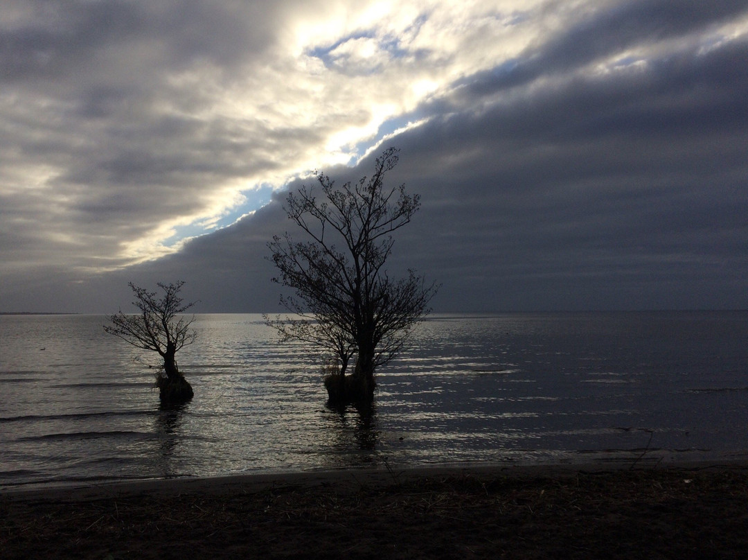 Lough Neagh景点图片