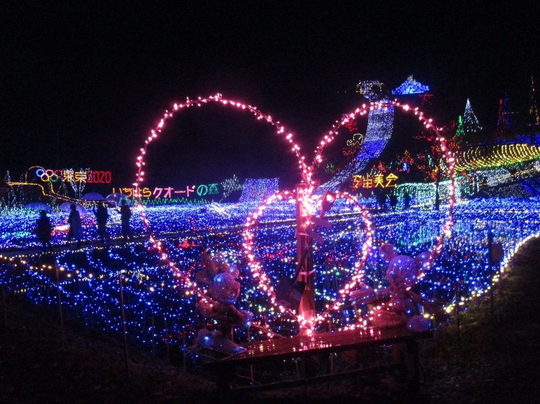 Ichihara Quard's Forest-市原市必去景点
