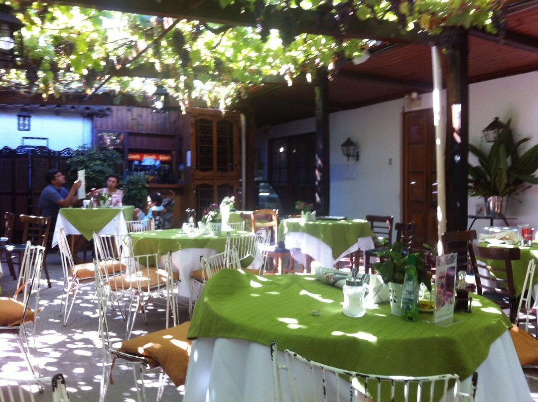 O'Higgins Region餐馆和美食-Club Union Social Santa Cruz