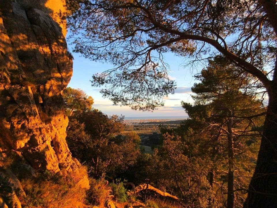 Park Naturel Regional du Haut-Languedoc-Saint-Pons-de-Thomieres必去景点