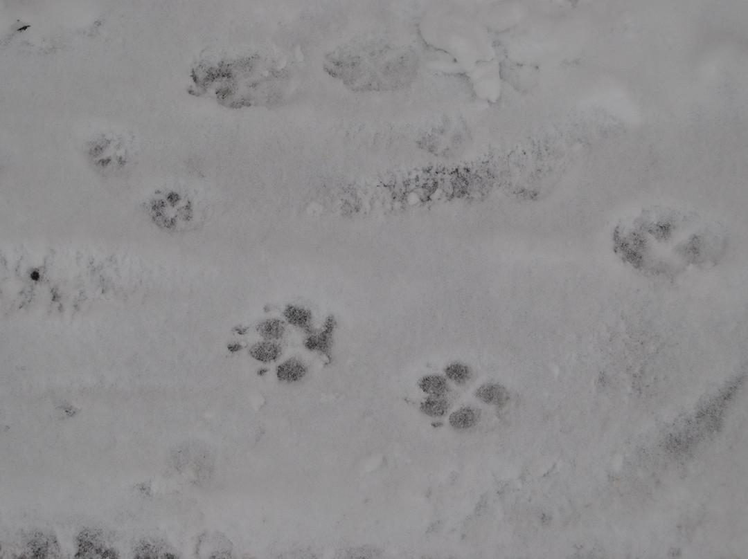 Randoplaisir-Izeron必去景点