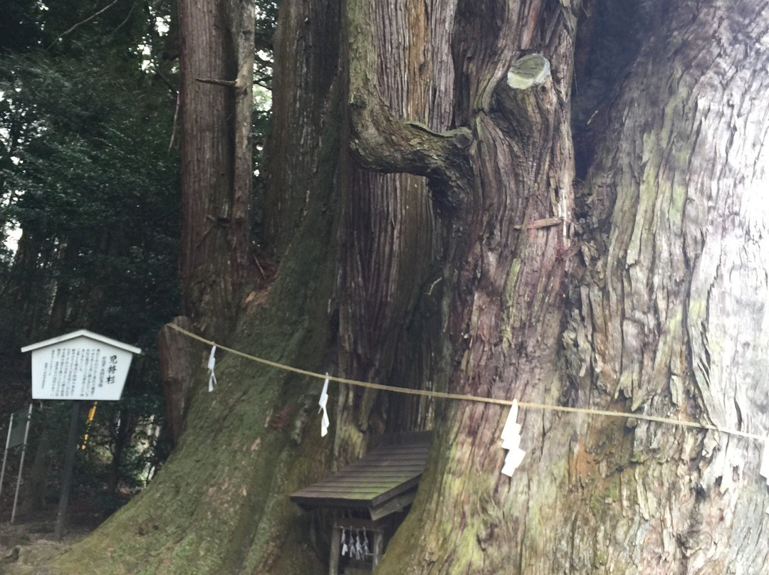 Hagihiyoshi Shrine-都几川町必去景点