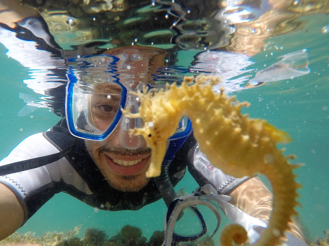 AegeanSeals Diving Center-Khalkis必去景点