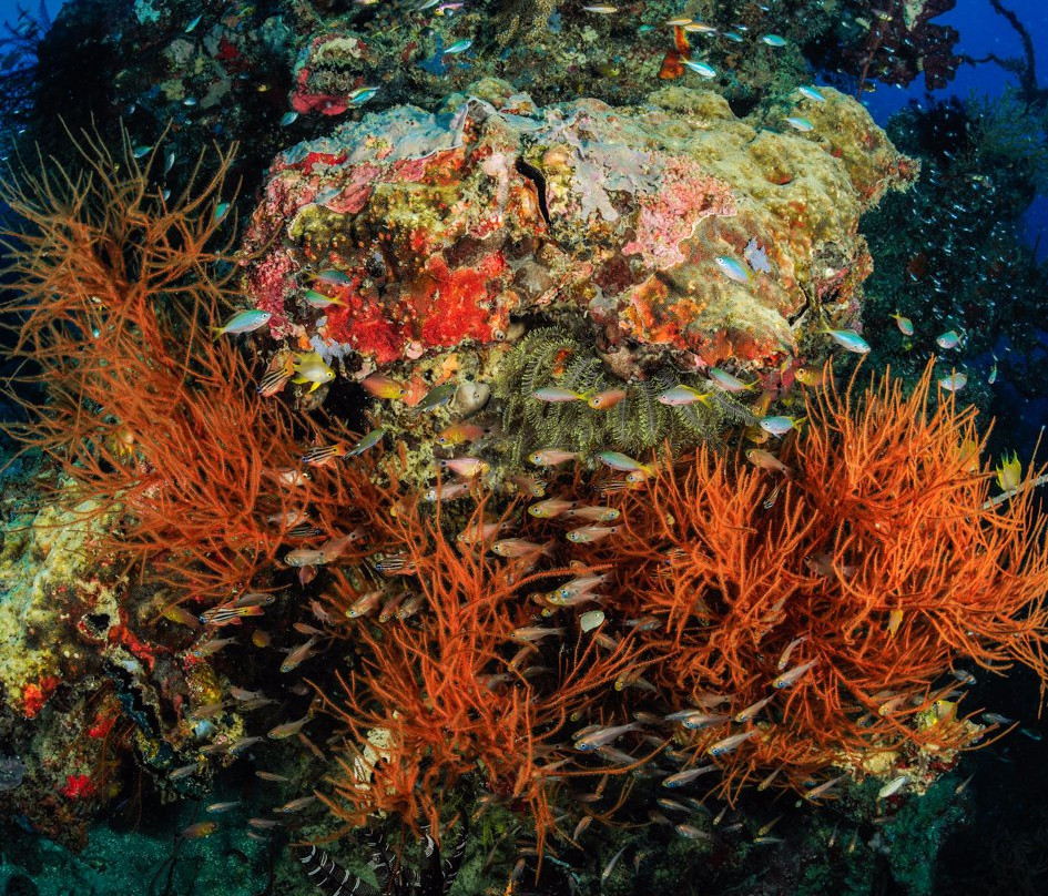 Livingseas Jakarta-雅加达必去景点