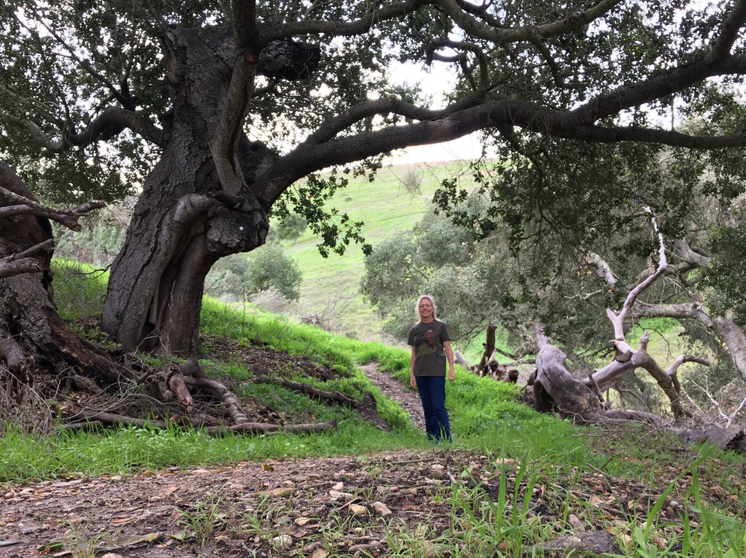 Los Flores Ranch Park-圣玛丽亚必去景点