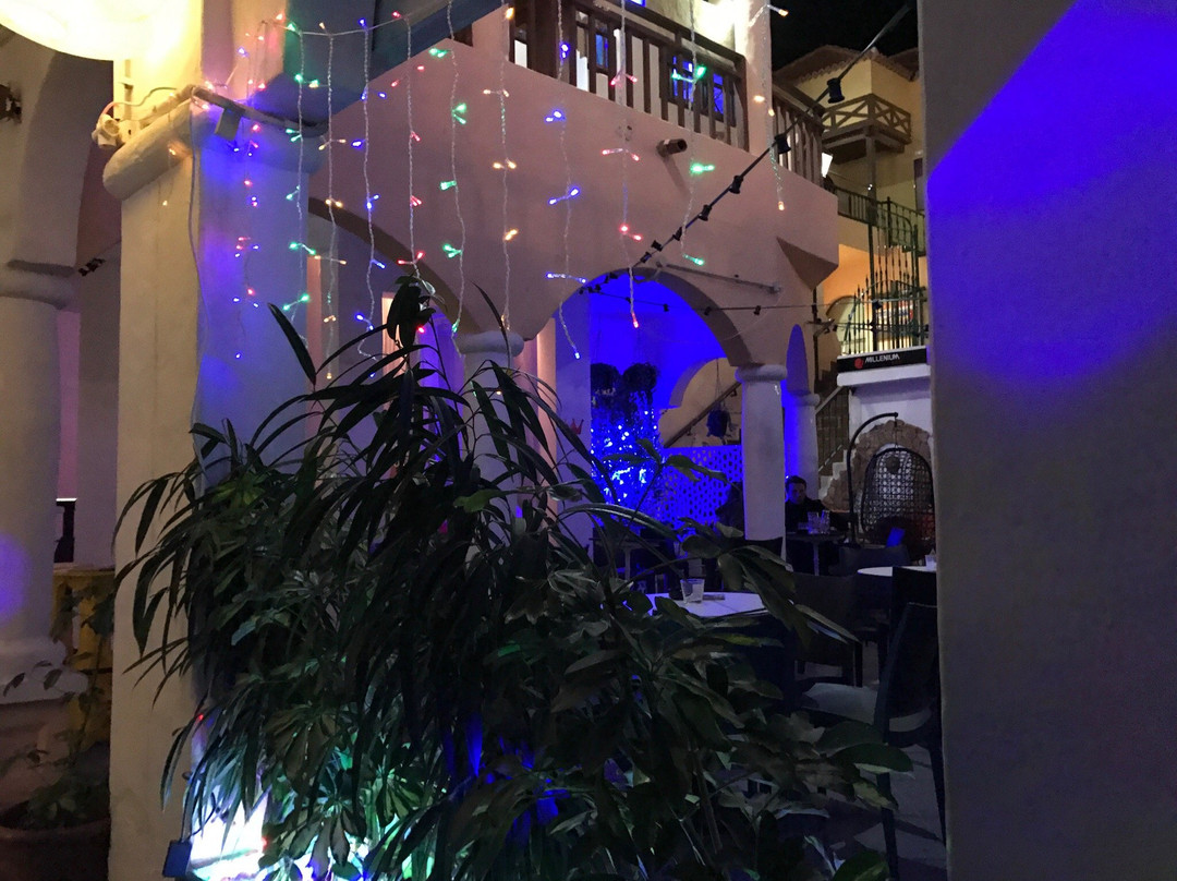 Aloha Gardens Chill Out & Cocktail Bar景点图片