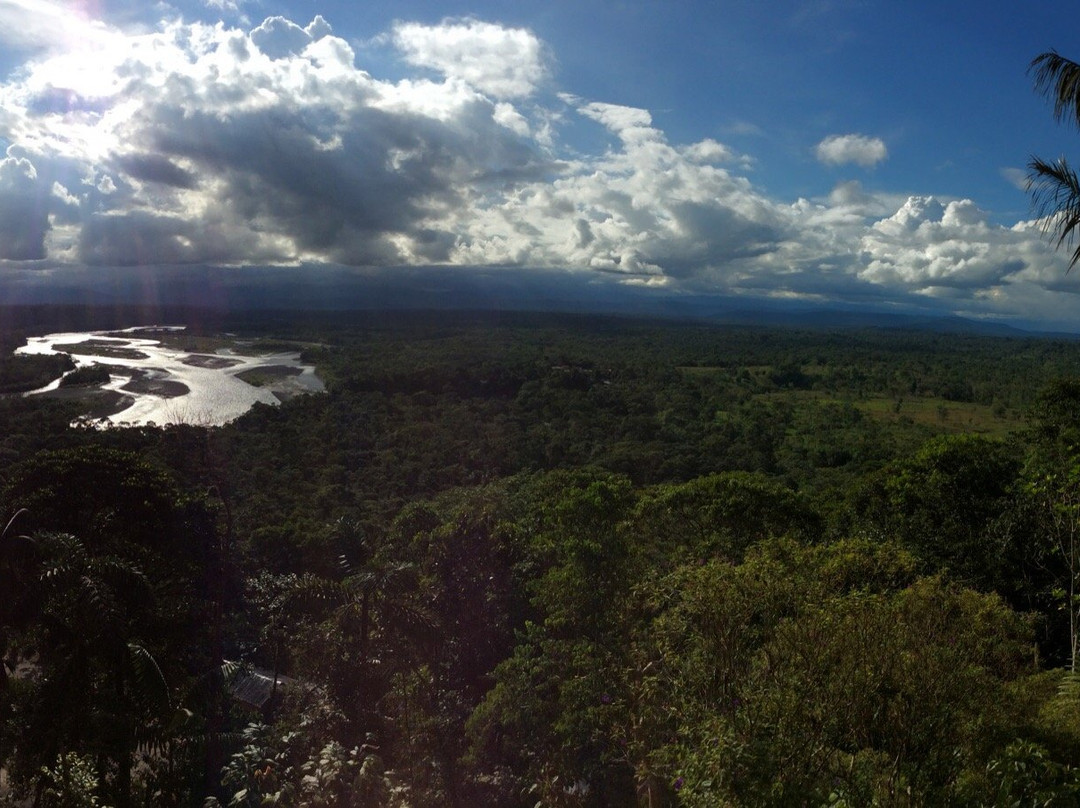Portal a la Selva-Puyo必去景点