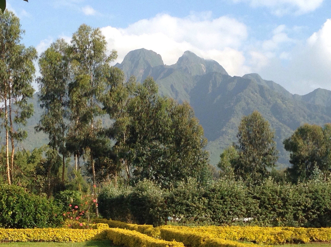 卢旺达旅游攻略图片