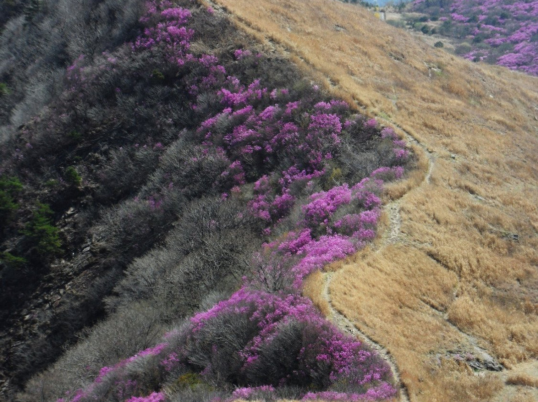 Hwawangsan Mountain-昌宁郡必去景点