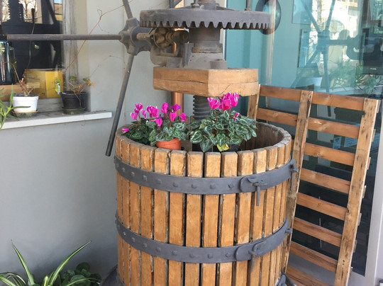 Cantine Leonardo Da Vinci-芬奇必去景点