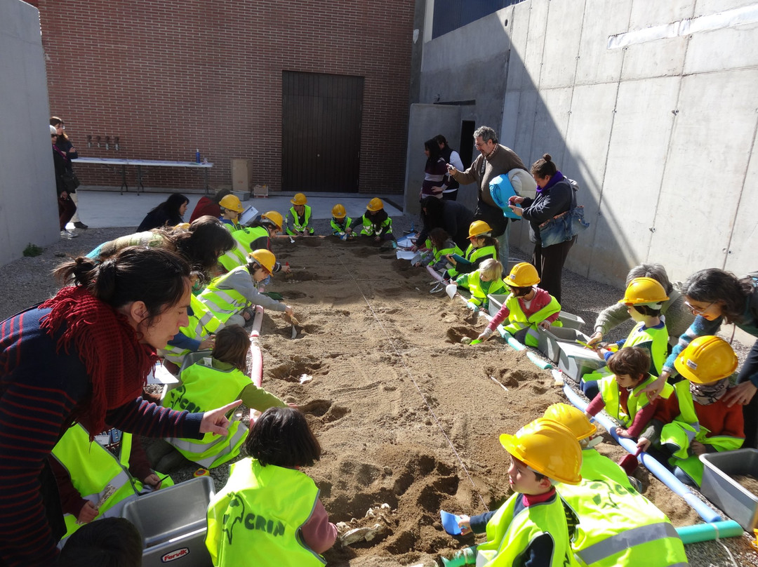 Centre de Restauració i Interpretació Paleontològica景点图片