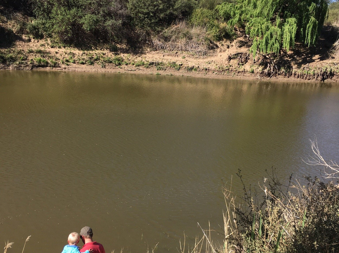 Soetdoring Nature Reserve-布隆方丹必去景点