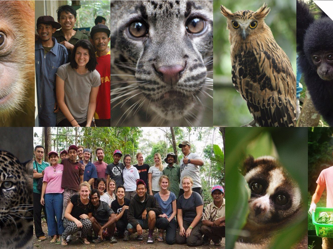Cikananga Wildlife Center-苏加武眉必去景点