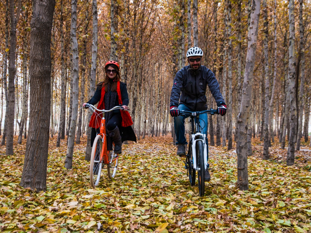 Isfahan Bike Rental & Tours景点图片