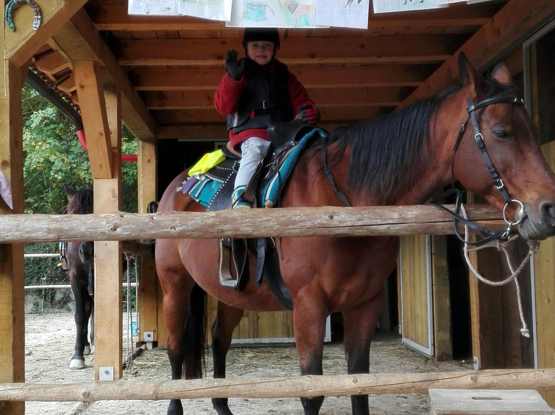 Horse Riding Club Ranch Pelance景点图片