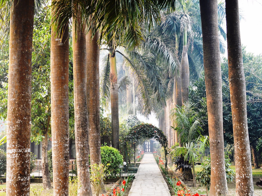 Madi酒店住宿-奇特旺天堂酒店