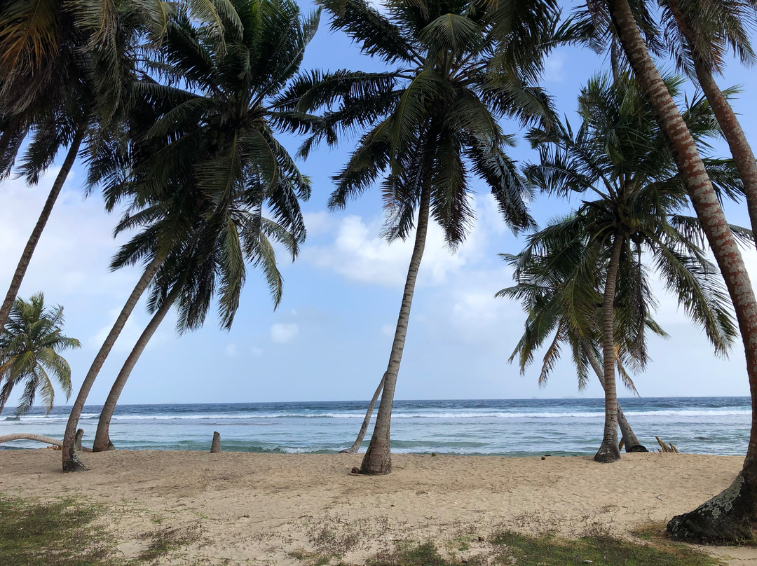 Go2SanBlas Tours-巴拿马城必去景点