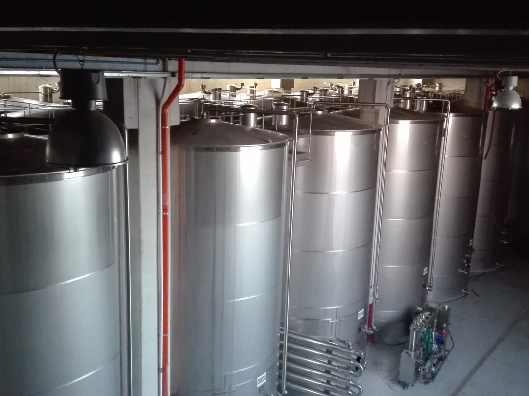 Azienda Agricola Minafra-Ruvo Di Puglia必去景点