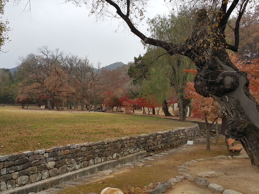 宁越庄陵-宁越郡必去景点