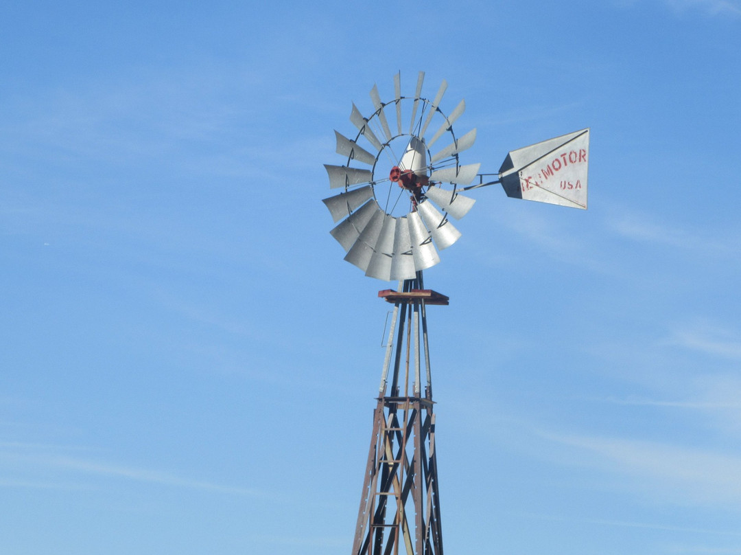 Old Schoolhouse Museum-二十九棕榈村必去景点