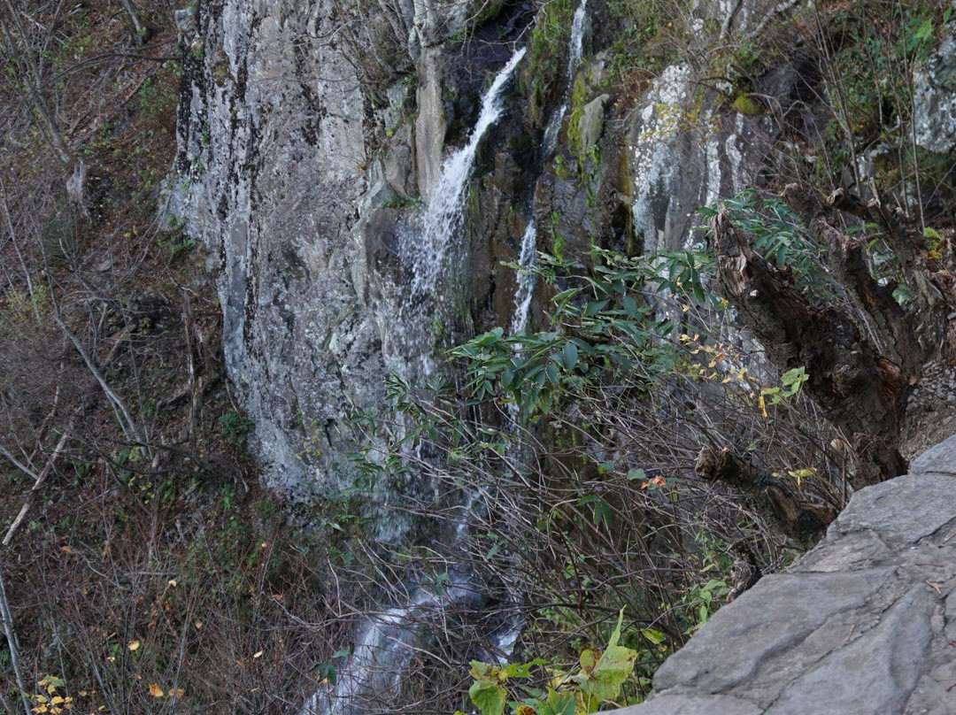 Lewis Spring Falls-卢雷必去景点