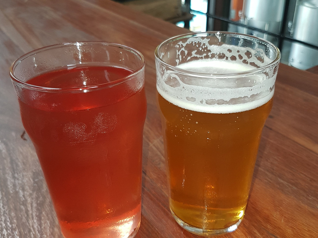 The Toti Brewing Company景点图片