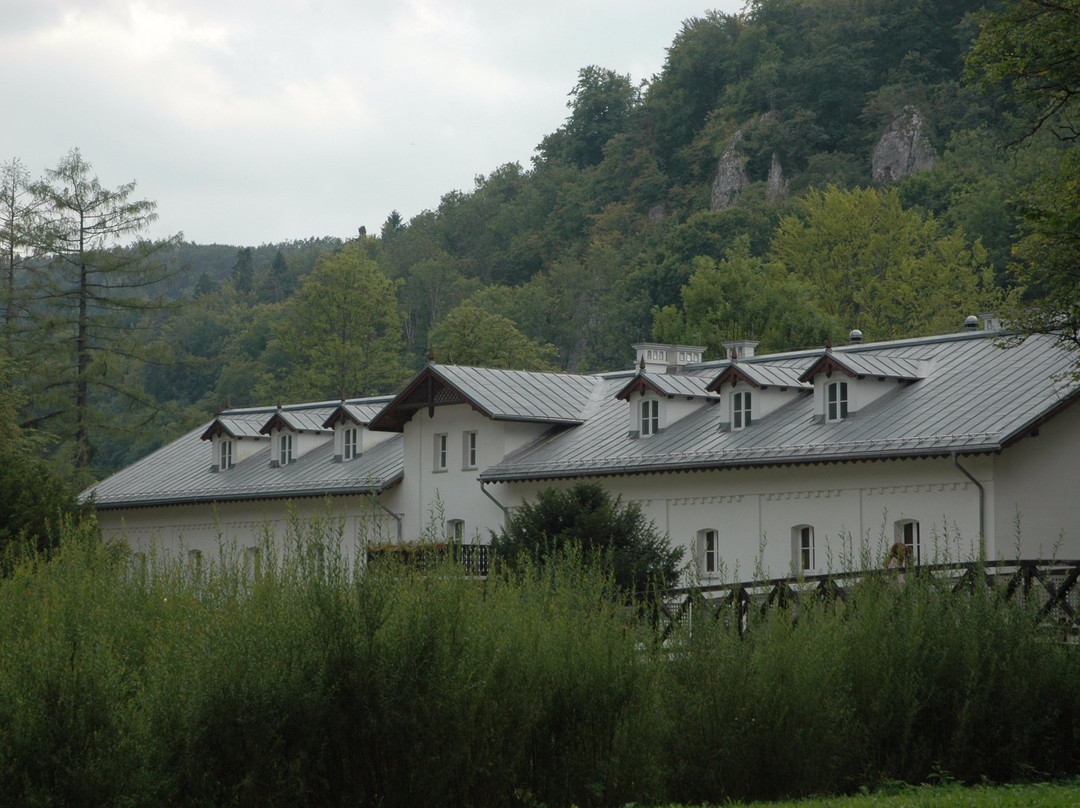 Muzeum Przyrodnicze景点图片