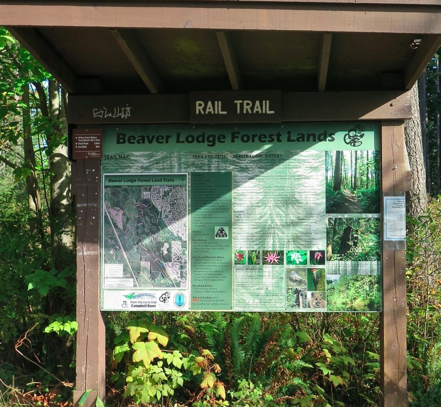 Beaver Lodge Forest Land景点图片
