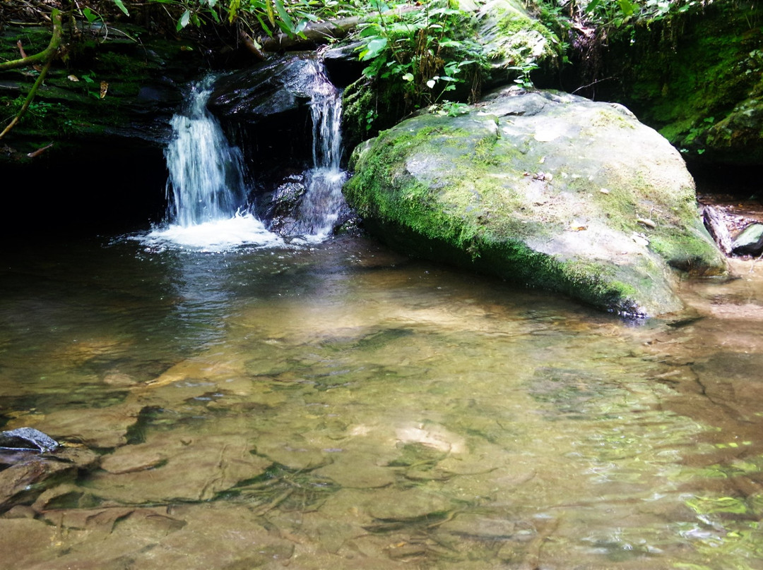 Horsetrough Falls-海伦必去景点